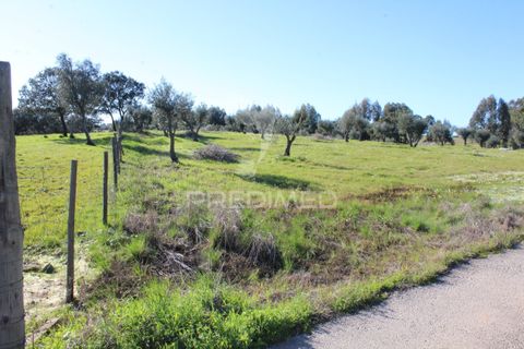 Terra a Redondo, Evora, Redondo - € 60.000 | Ref: 058527 - foto 17