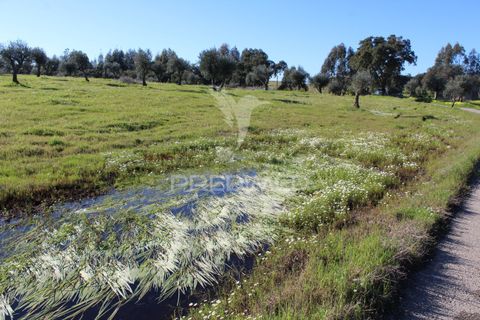 Terra a Redondo, Evora, Redondo - € 60.000 | Ref: 058527 - foto 19