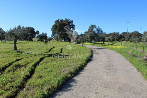 Terra a Redondo, Evora, Redondo - € 60.000 | Ref: 058527 - foto 20