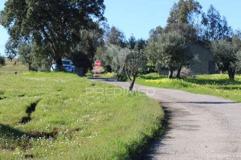 Terra a Redondo, Evora, Redondo - € 60.000 | Ref: 058527 - foto 21