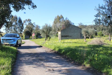 Terra a Redondo, Evora, Redondo - € 60.000 | Ref: 058527 - foto 22