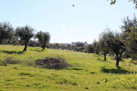 Terra a Redondo, Evora, Redondo - € 60.000 | Ref: 058527 - foto 23