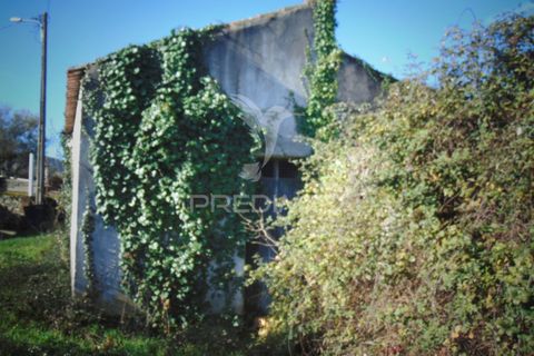 Byhus i Sabrosa, Vila Real, Sabrosa - € 60.000 | Ref: 058627 - foto 7
