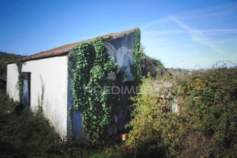 Byhus i Sabrosa, Vila Real, Sabrosa - € 60.000 | Ref: 058627 - foto 25