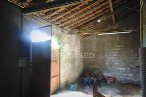 Byhus i Sabrosa, Vila Real, Sabrosa - € 60.000 | Ref: 058627 - foto 24