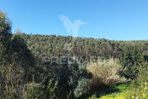 Byhus i Torres Vedras, Lisbon, Torres Vedras - € 74.900 | Ref: 058635 - foto 7
