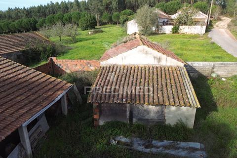 Byhus i Rio Maior, Santarem, Rio Maior - € 43.000 | Ref: 058645 - foto 4
