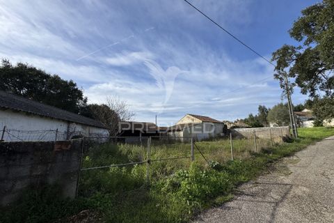 Byhus i Rio Maior, Santarem, Rio Maior - € 43.000 | Ref: 058645 - foto 5