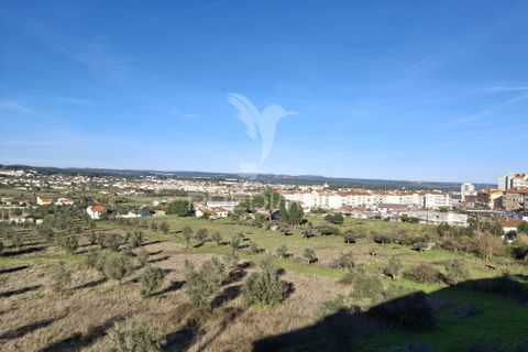 Lejlighed i Abrantes, Santarem, Abrantes - € 195.000 | Ref: 058673 - foto 11