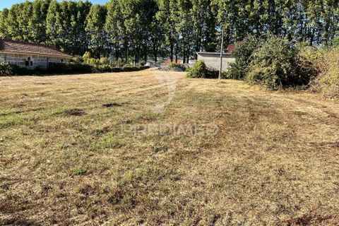 Helårsgrund i Chaves, Vila Real, Chaves - € 115.000 | Ref: 058788 - foto 5
