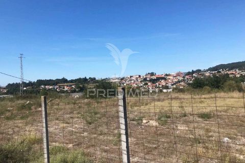 Helårsgrund i Santo Tirso, Porto, Santo Tirso - € 452.000 | Ref: 058905 - foto 9