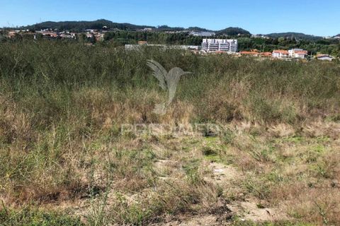 Helårsgrund i Santo Tirso, Porto, Santo Tirso - € 452.000 | Ref: 058905 - foto 11