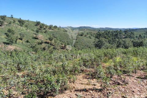 Farm hus i Odemira, Beja, Odemira - € 55.000 | Ref: 059047 - foto 4