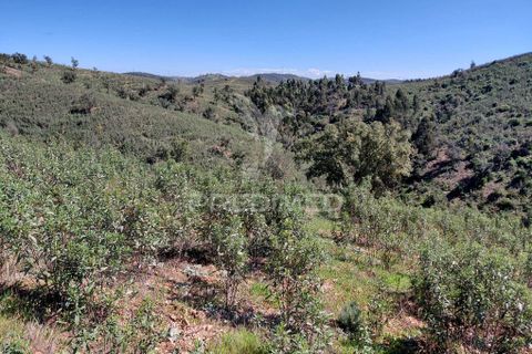 Farm hus i Odemira, Beja, Odemira - € 55.000 | Ref: 059047 - foto 6