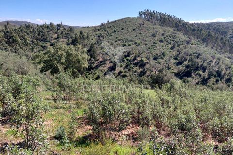 Farm hus i Odemira, Beja, Odemira - € 55.000 | Ref: 059047 - foto 3