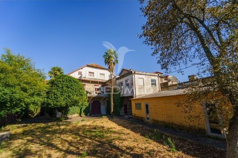 Byhus i Guimaraes, Braga, Guimaraes - € 850.000 | Ref: 059233 - foto 11