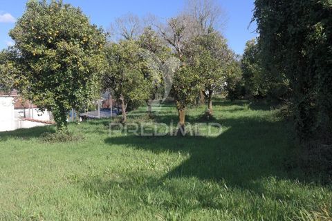 Tomt i Terras de Bouro, Braga, Terras de Bouro - € 245 000 | Ref: 059410 - foto 13