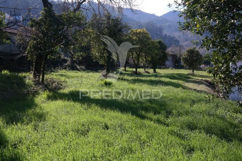 Tomt i Terras de Bouro, Braga, Terras de Bouro - € 245 000 | Ref: 059410 - foto 14