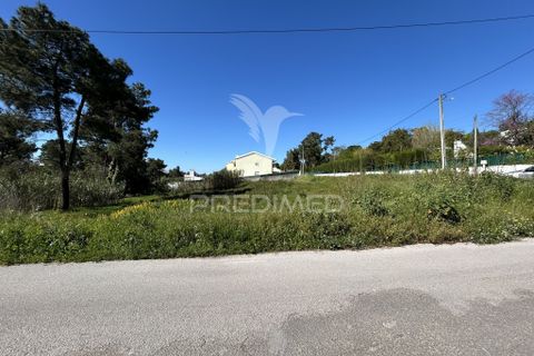 Helårsgrund i Setubal, Setubal, Setubal - € 180.000 | Ref: 059418 - foto 15