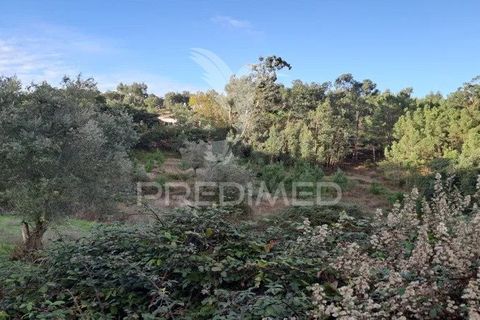 Helårsgrund i Loures, Lisbon, Loures - € 145.000 | Ref: 059473 - foto 2
