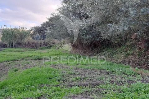 Helårsgrund i Loures, Lisbon, Loures - € 145.000 | Ref: 059473 - foto 5