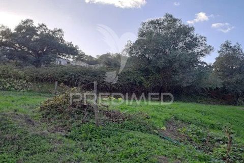 Helårsgrund i Loures, Lisbon, Loures - € 145.000 | Ref: 059473 - foto 6