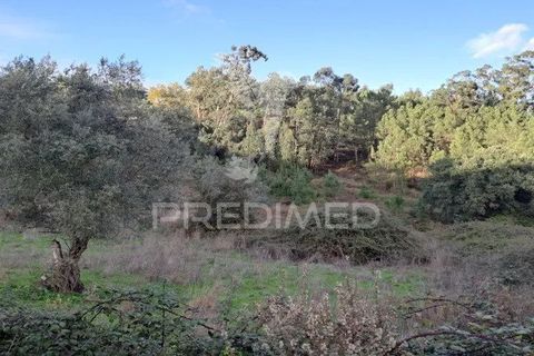 Helårsgrund i Loures, Lisbon, Loures - € 145.000 | Ref: 059473 - foto 7