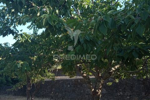 Farm hus i Castelo de Vide, Portalegre, Castelo de Vide - € 320.000 | Ref: 059505 - foto 33