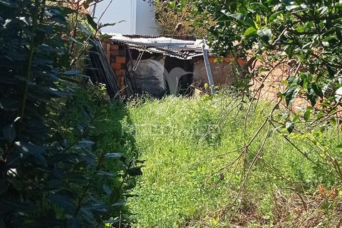 Byhus i Nisa, Portalegre, Nisa - € 70.000 | Ref: 059528 - foto 20