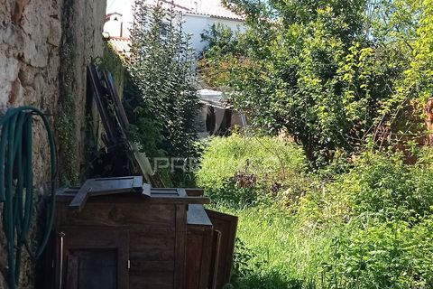 Byhus i Nisa, Portalegre, Nisa - € 70.000 | Ref: 059528 - foto 22