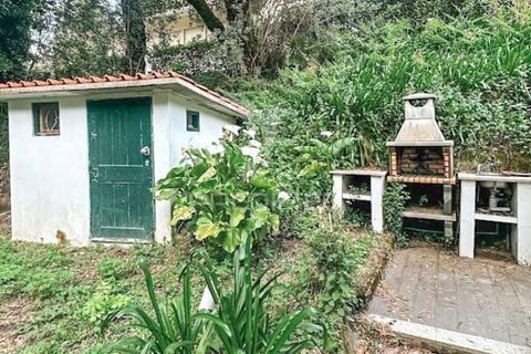 Byhus i Vieira do Minho, Braga, Vieira do Minho - € 300.000 | Ref: 059535 - foto 13