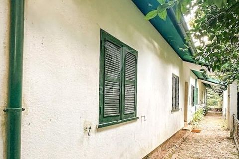 Byhus i Vieira do Minho, Braga, Vieira do Minho - € 300.000 | Ref: 059535 - foto 19