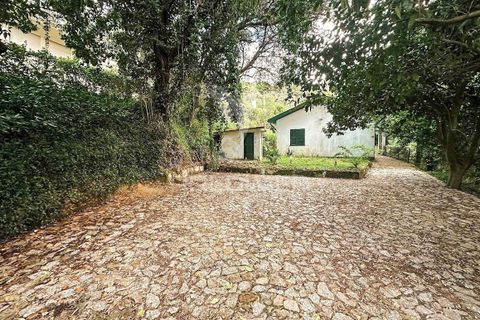 Byhus i Vieira do Minho, Braga, Vieira do Minho - € 300.000 | Ref: 059535 - foto 27