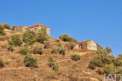 Terra a Torre de Moncorvo, Braganca, Torre de Moncorvo - € 560.000 | Ref: 858547 - foto 6
