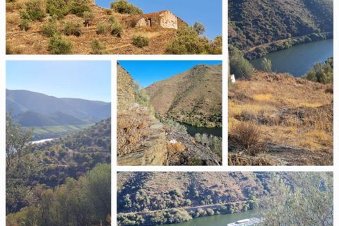 Terra a Torre de Moncorvo, Braganca, Torre de Moncorvo - € 560.000 | Ref: 858547 - foto 7