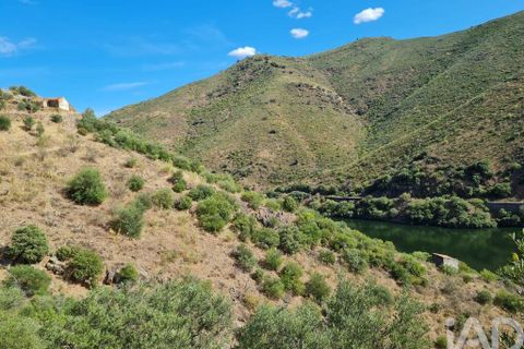 Terra a Torre de Moncorvo, Braganca, Torre de Moncorvo - € 560.000 | Ref: 858547 - foto 8