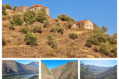 Terra a Torre de Moncorvo, Braganca, Torre de Moncorvo - € 560.000 | Ref: 858547 - foto 9