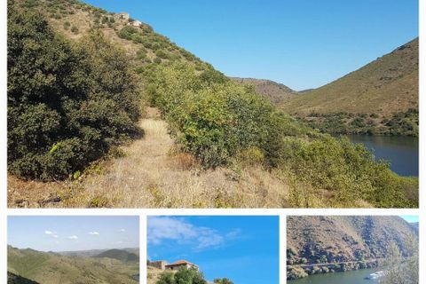 Terra a Torre de Moncorvo, Braganca, Torre de Moncorvo - € 560.000 | Ref: 858547 - foto 10