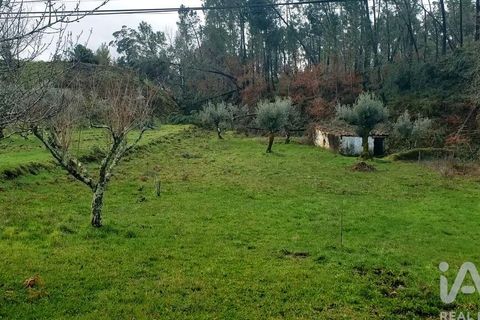 Byhus i Serta, Castelo Branco, Serta - € 94.850 | Ref: 858961 - foto 17