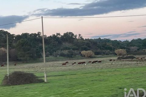 Byhus i Coruche, Santarem, Coruche - € 255.000 | Ref: 865473 - foto 15