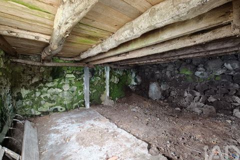Helårsgrund i Lajes do Pico, Pico, Lajes do Pico - € 105.000 | Ref: 858078 - foto 9