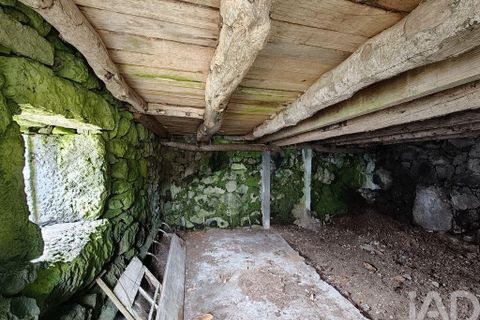 Helårsgrund i Lajes do Pico, Pico, Lajes do Pico - € 105.000 | Ref: 858078 - foto 10