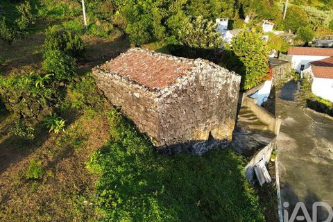 Helårsgrund i Lajes do Pico, Pico, Lajes do Pico - € 105.000 | Ref: 858078 - foto 11