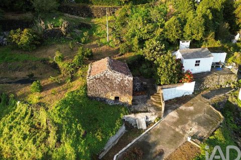 Helårsgrund i Lajes do Pico, Pico, Lajes do Pico - € 105.000 | Ref: 858078 - foto 13