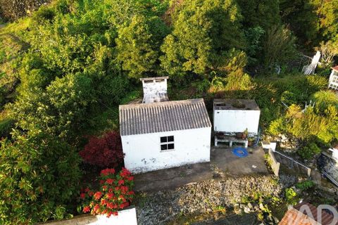 Helårsgrund i Lajes do Pico, Pico, Lajes do Pico - € 105.000 | Ref: 858078 - foto 15