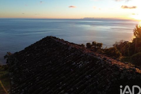 Helårsgrund i Lajes do Pico, Pico, Lajes do Pico - € 105.000 | Ref: 858078 - foto 22