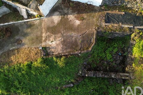 Helårsgrund i Lajes do Pico, Pico, Lajes do Pico - € 105.000 | Ref: 858078 - foto 18