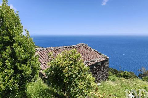 Helårsgrund i Lajes do Pico, Pico, Lajes do Pico - € 105.000 | Ref: 858078 - foto 3