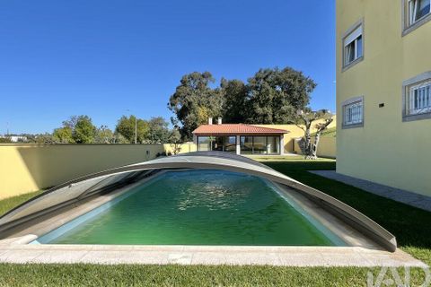 Byhus i Mangualde, Viseu, Mangualde - € 595.000 | Ref: 862498 - foto 4