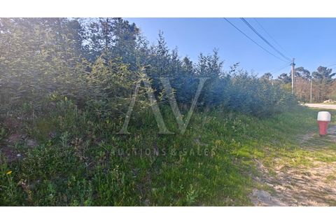 Helårsgrund i Mangualde, Viseu, Mangualde - € 308.597 | Ref: AV1896_V1 - foto 7